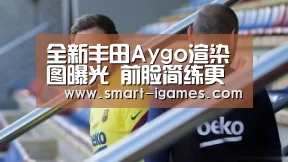 爱游戏体育
