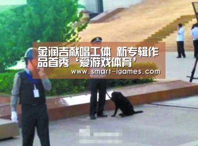 爱游戏体育直播