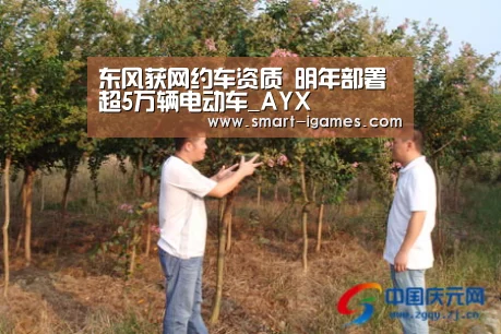 东风获网约车资质 明年部署超5万辆电动车_AYX(图2) 东风获网约车资质 明年部署超5万辆电动车_AYX(图2)