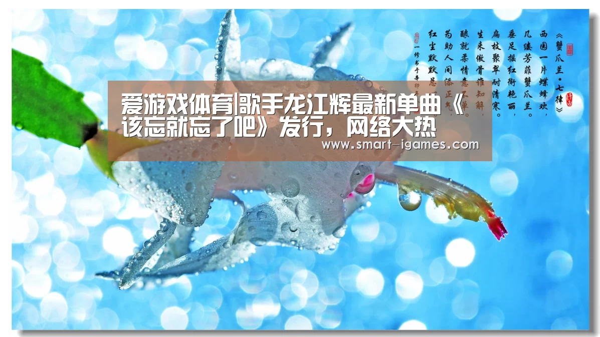 爱游戏体育|歌手龙江辉最新单曲《该忘就忘了吧》发行,网络大热(图1) 足球即时比分